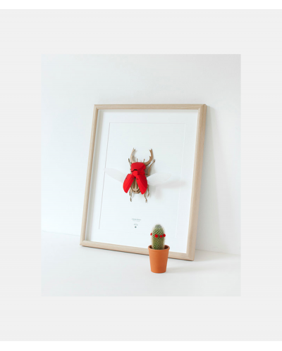 Model Stag Beetle Red DIY Kit